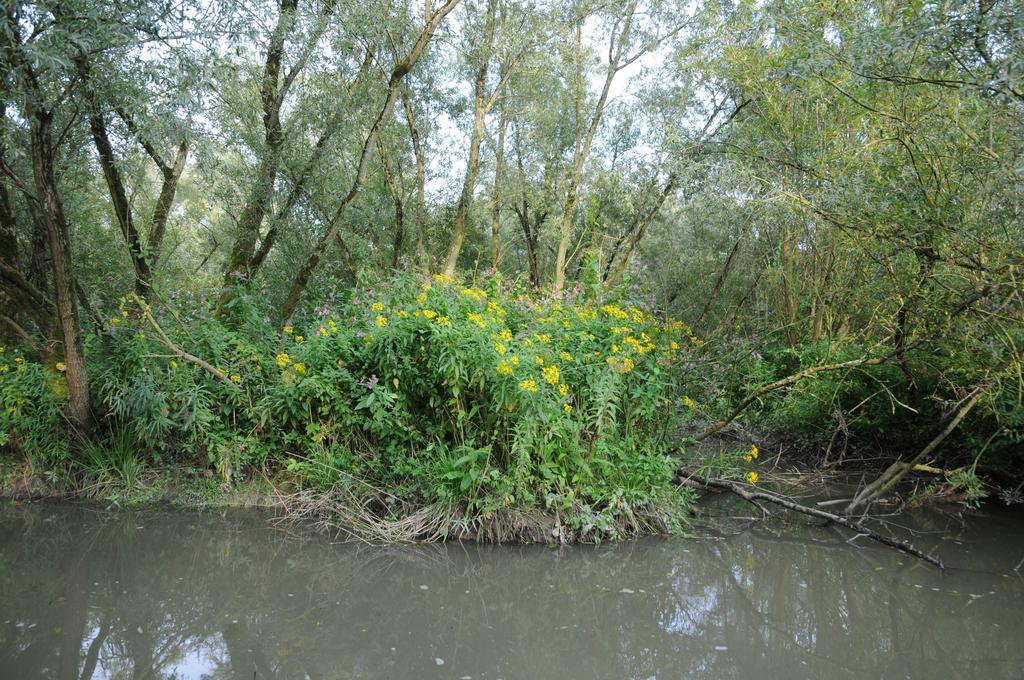 ホテル De Brabantse Biesbosch Werkendam エクステリア 写真