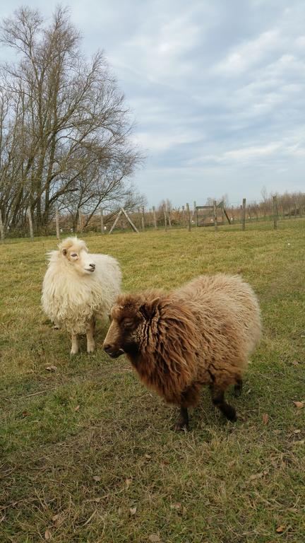 ホテル De Brabantse Biesbosch Werkendam エクステリア 写真