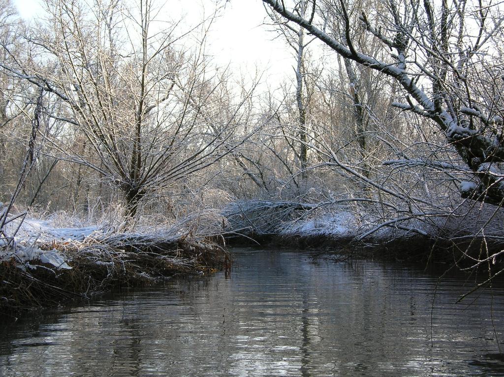 ホテル De Brabantse Biesbosch Werkendam エクステリア 写真