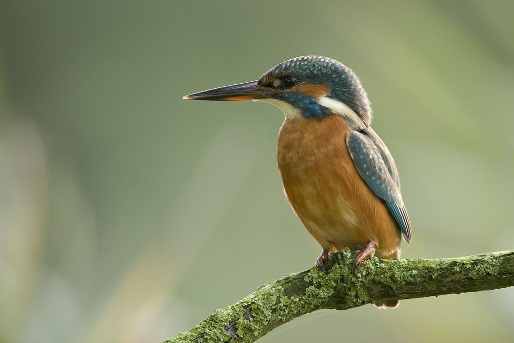 ホテル De Brabantse Biesbosch Werkendam エクステリア 写真