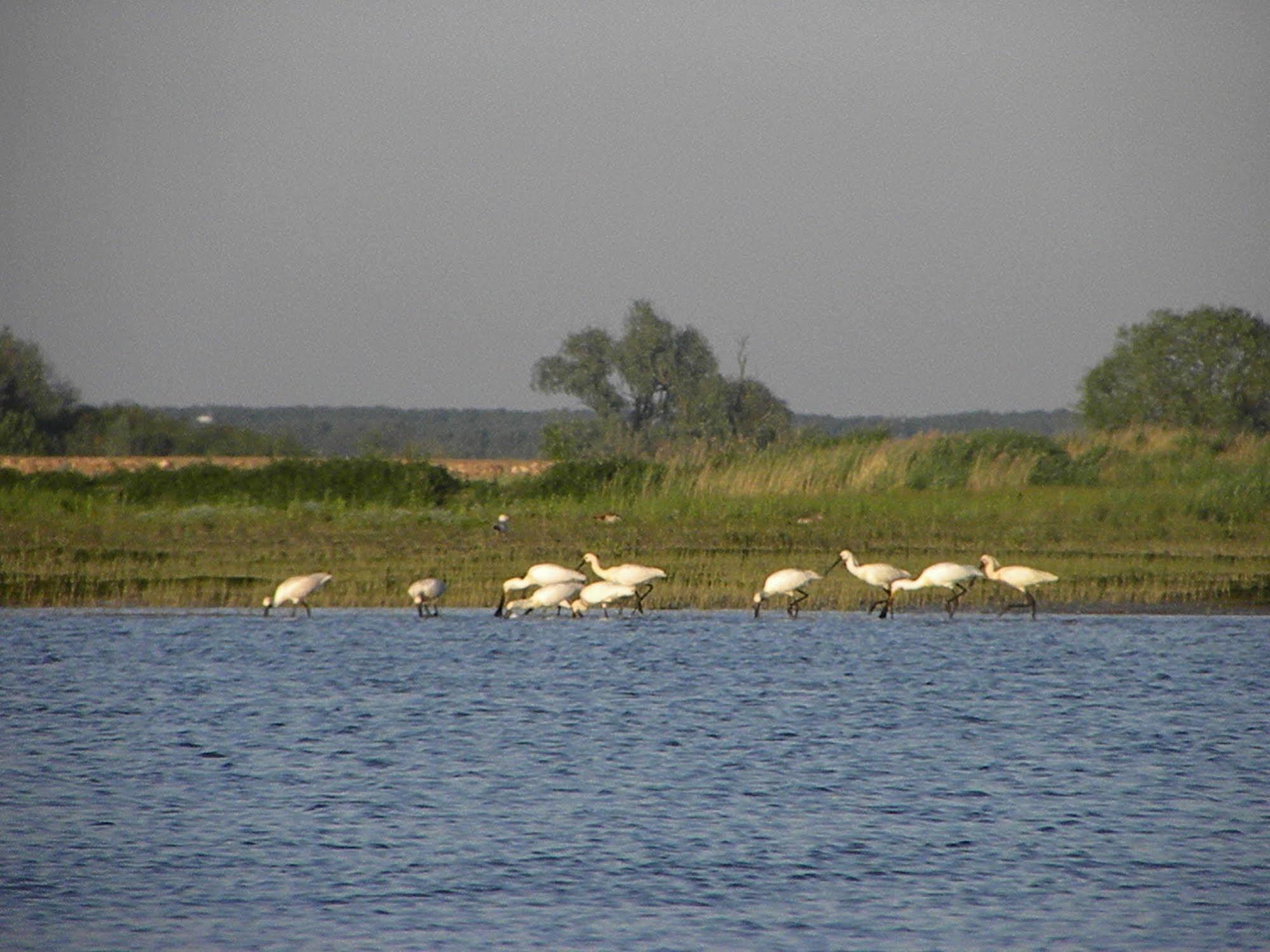 ホテル De Brabantse Biesbosch Werkendam エクステリア 写真