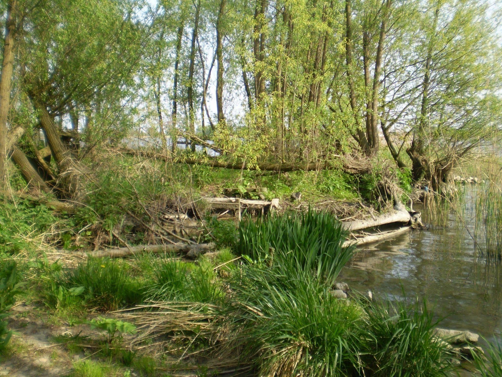 ホテル De Brabantse Biesbosch Werkendam エクステリア 写真